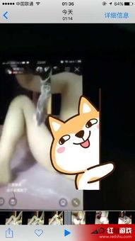 主播黄鳝在线观看,揭秘网络主播的奇幻世界